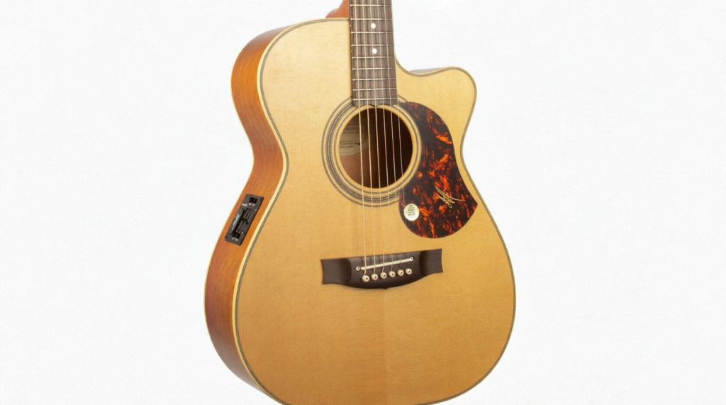 Купить MATON EBG808C-TE с доводкой